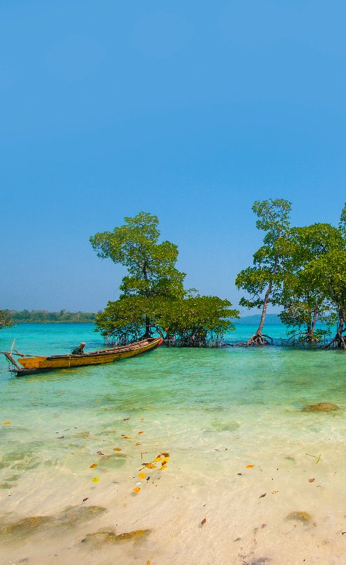 Andaman & Nicobar