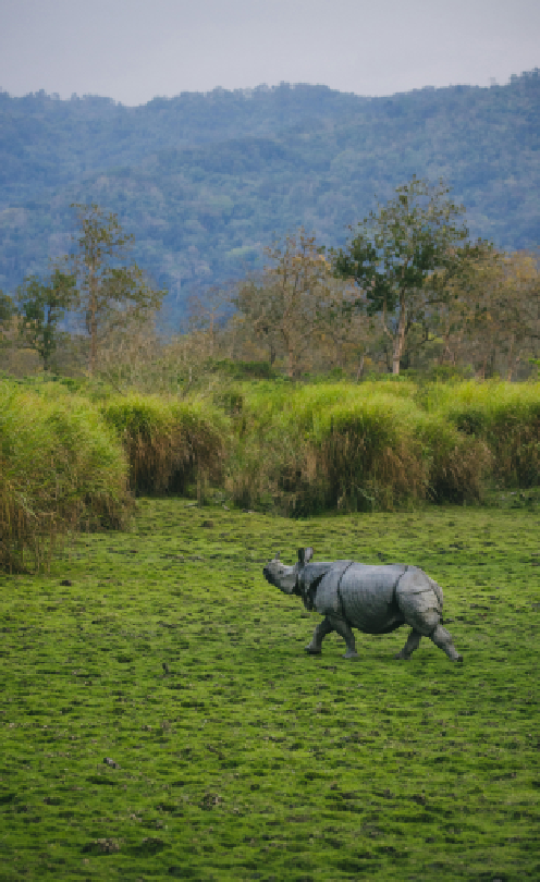 Assam